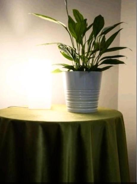 Emi House Re Di Roma , Intero Appartamento - 80 Mq Apartment Rome